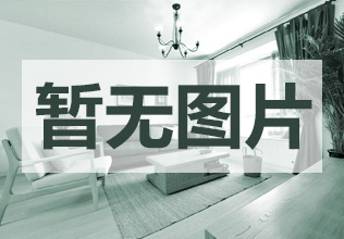 金宸国际